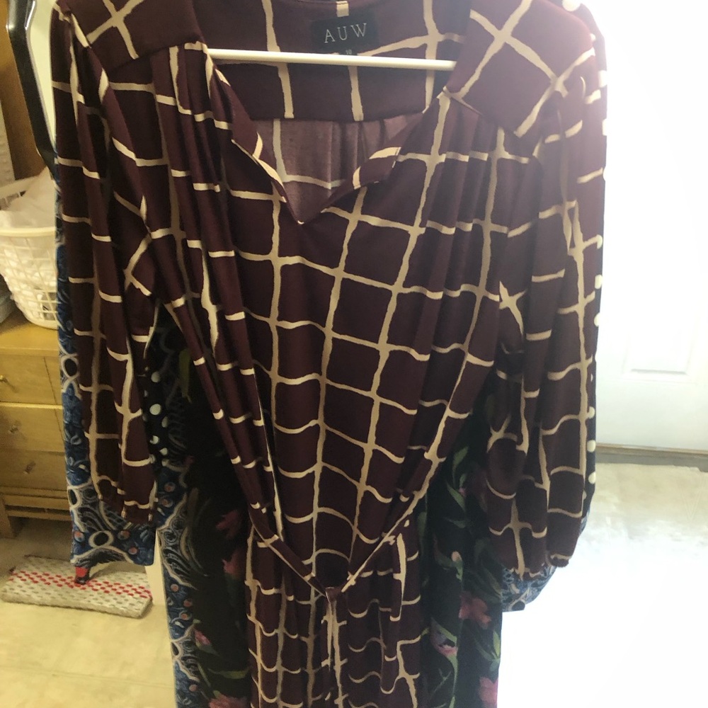AUW Burgundy and Pink Dress